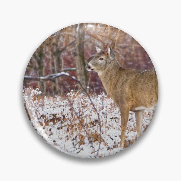Item preview, White tailed buck designed and sold by CanadianWild418.