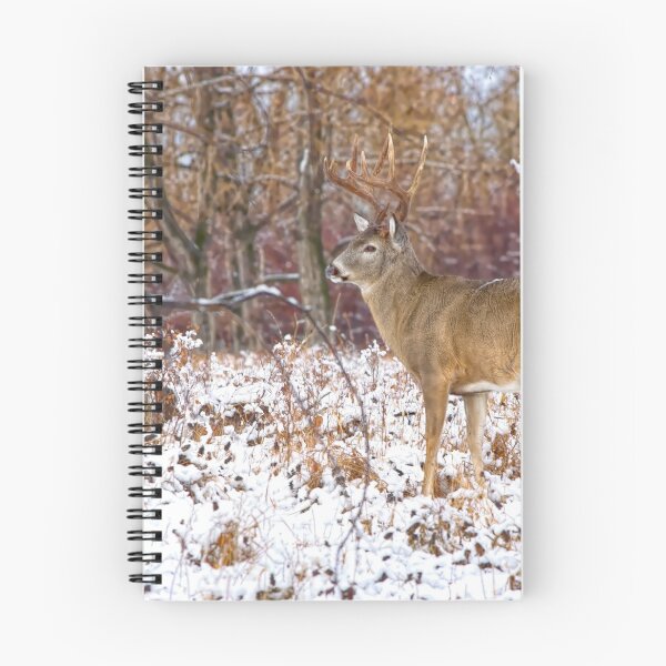 Item preview, White tailed buck designed and sold by CanadianWild418.