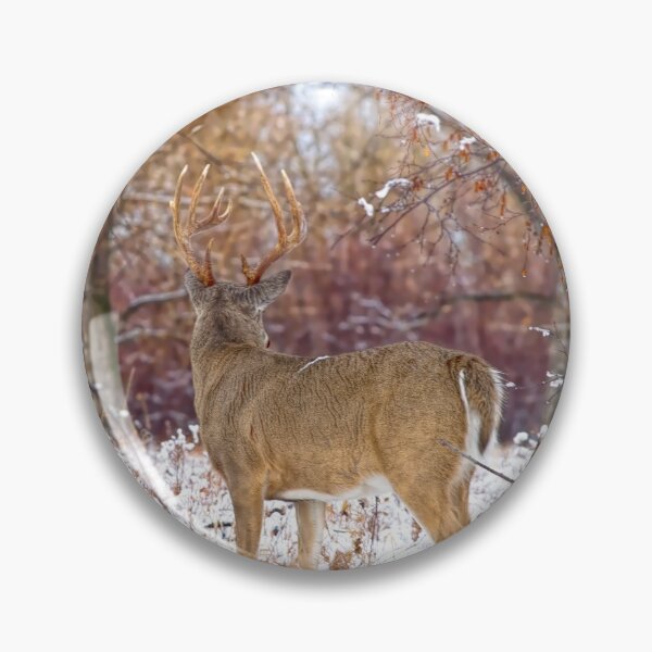Item preview, Wild deer designed and sold by CanadianWild418.