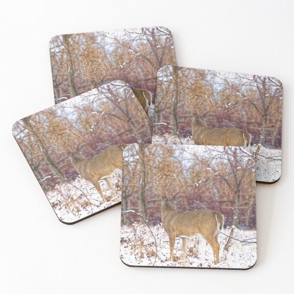 Item preview, Wild deer designed and sold by CanadianWild418.