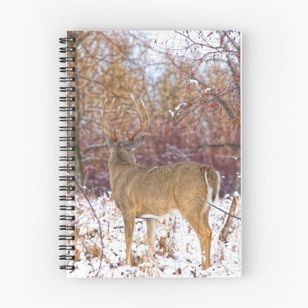 Item preview, Wild deer designed and sold by CanadianWild418.