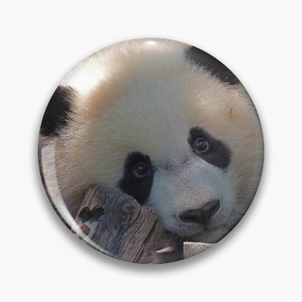 Item preview, Bei Bei designed and sold by andrew82984.