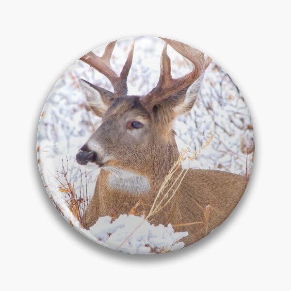 Item preview, Beautiful buck designed and sold by CanadianWild418.