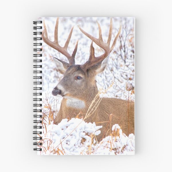 Item preview, Beautiful buck designed and sold by CanadianWild418.