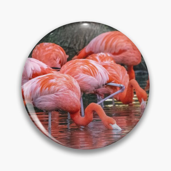 Item preview, Flamencos designed and sold by Ryan Deis.