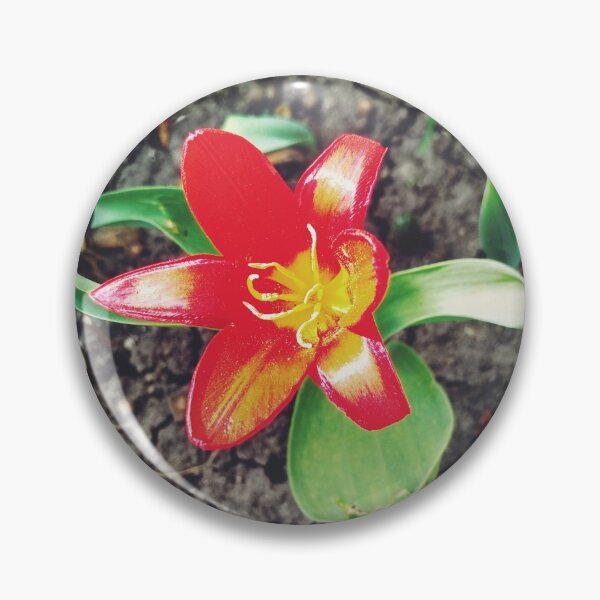 Item preview, Red beautiful tiger lily in full blossom, natural background  designed and sold by helenkaiy.