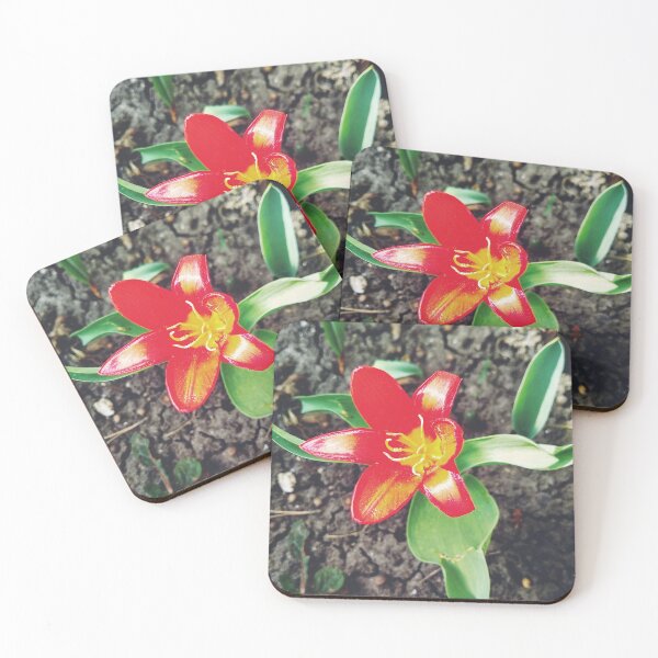 Item preview, Red beautiful tiger lily in full blossom, natural background  designed and sold by helenkaiy.
