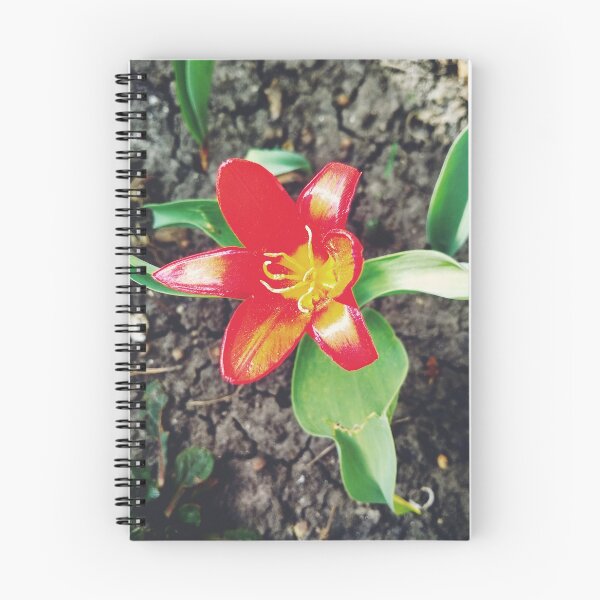 Item preview, Red beautiful tiger lily in full blossom, natural background  designed and sold by helenkaiy.