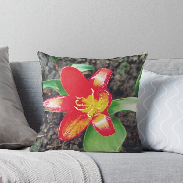 Item preview, Red beautiful tiger lily in full blossom, natural background  designed and sold by helenkaiy.