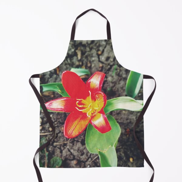 Item preview, Red beautiful tiger lily in full blossom, natural background  designed and sold by helenkaiy.