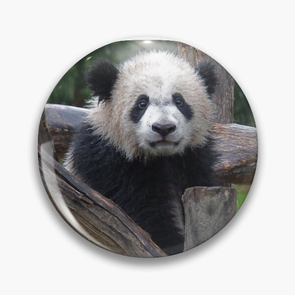 Item preview, Bei Bei  designed and sold by andrew82984.