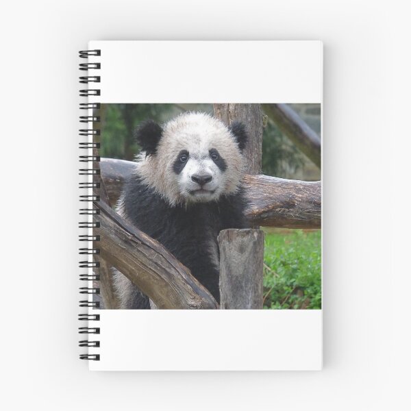 Item preview, Bei Bei  designed and sold by andrew82984.