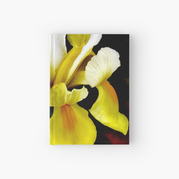 Colors Of The WInd Hardcover Journal
