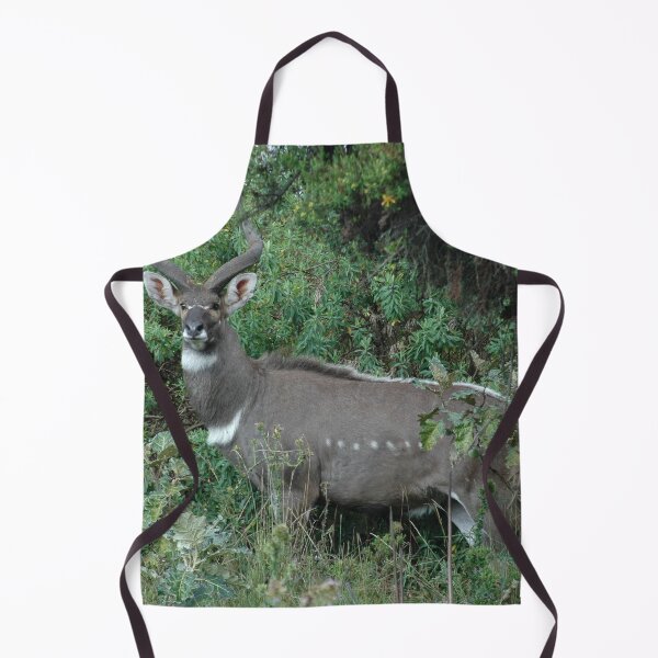 Item preview, Macho Montaña Antílope Nyala Montañas Bala Etiopía designed and sold by worldways.