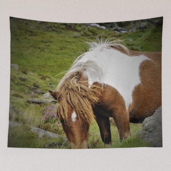 Item preview, Wild Welsh Mountain Pony designed and sold by PowderLanePress.