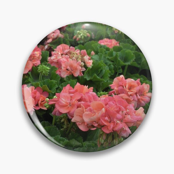Artikelvorschau, Salmon Pink Geraniums at the Garden Centre. entworfen und verkauft von Billlee.