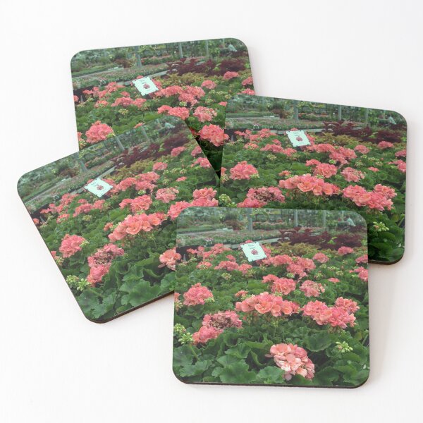 Item preview, Salmon Pink Geraniums at the Garden Centre.  designed and sold by Billlee.