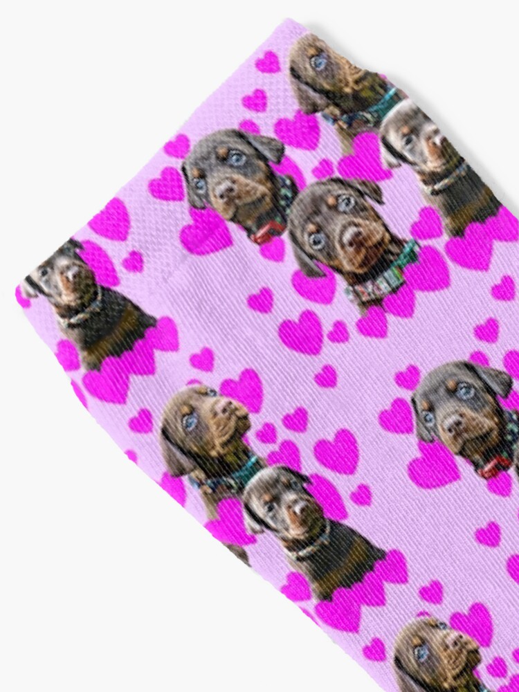 Thumbnail 2 of 5, Socks, Doberman Puppies - Socks (Pink Hearts) designed and sold by HohenhallaDobes.