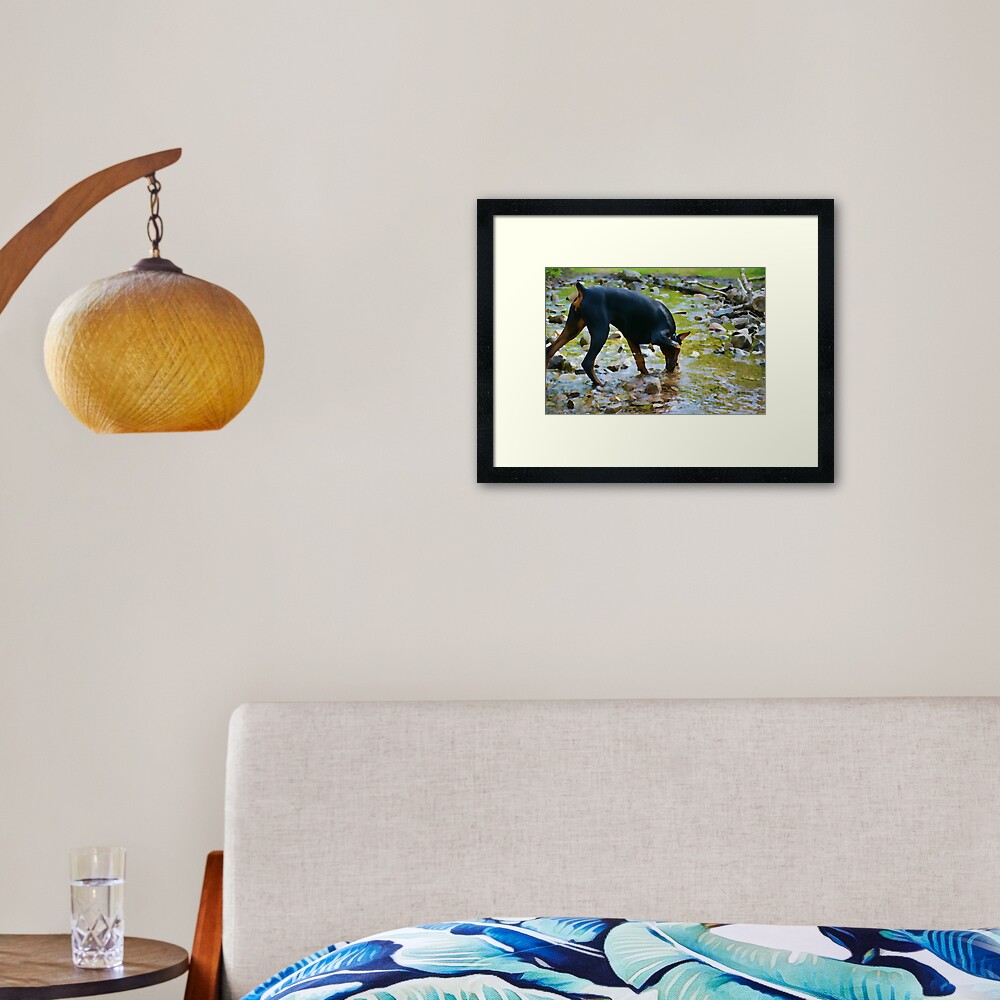 Item preview, Framed Art Print designed and sold by HohenhallaDobes.