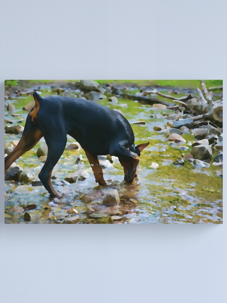 Thumbnail 1 of 3, Canvas Print, Doberman at the Creek - Water Color designed and sold by HohenhallaDobes.