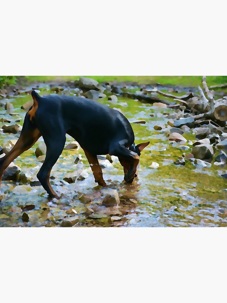 Thumbnail 3 of 3, Canvas Print, Doberman at the Creek - Water Color designed and sold by HohenhallaDobes.