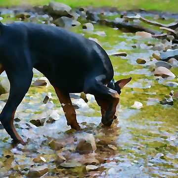 Artwork thumbnail, Doberman at the Creek - Water Color by HohenhallaDobes