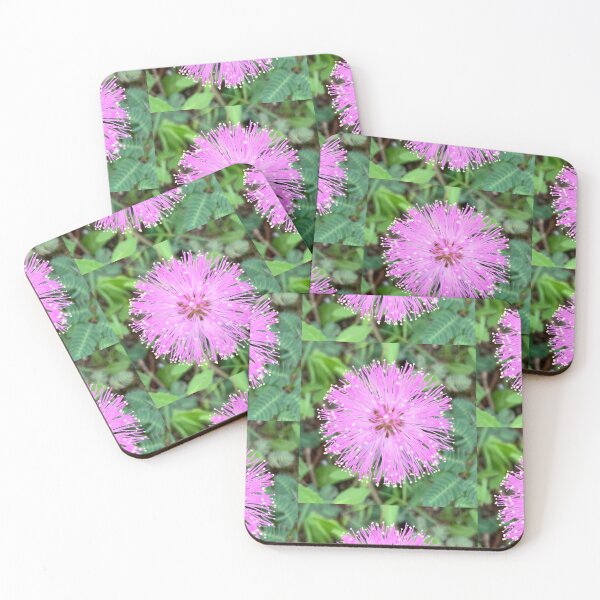 Item preview, Pink Flower (Sunshine Mimosa) designed and sold by merrymango.