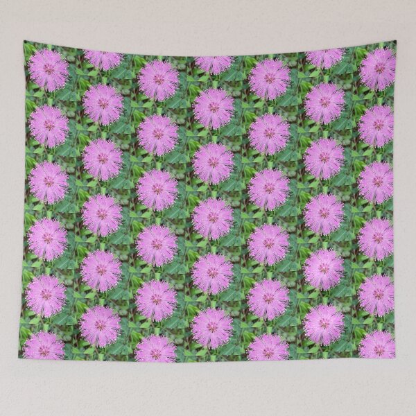 Item preview, Pink Flower (Sunshine Mimosa) designed and sold by merrymango.
