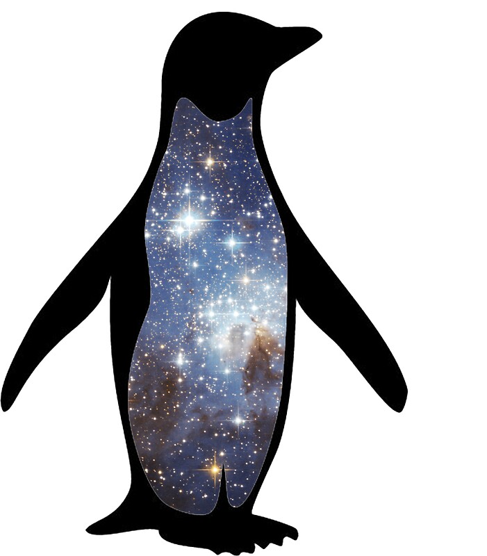 Сканер space penguin 2d настройка