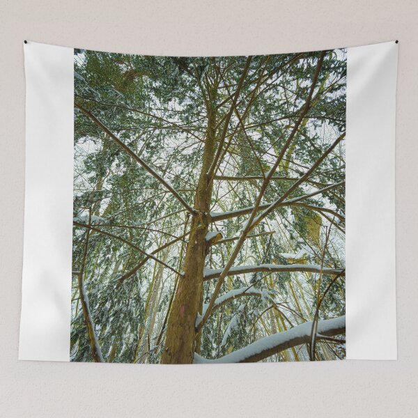 Item preview, Tree in the snow designed and sold by Markus Holsträter.