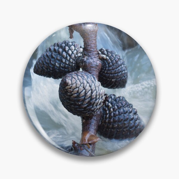 Item preview, Pinecones  designed and sold by EMStudioPhoto.