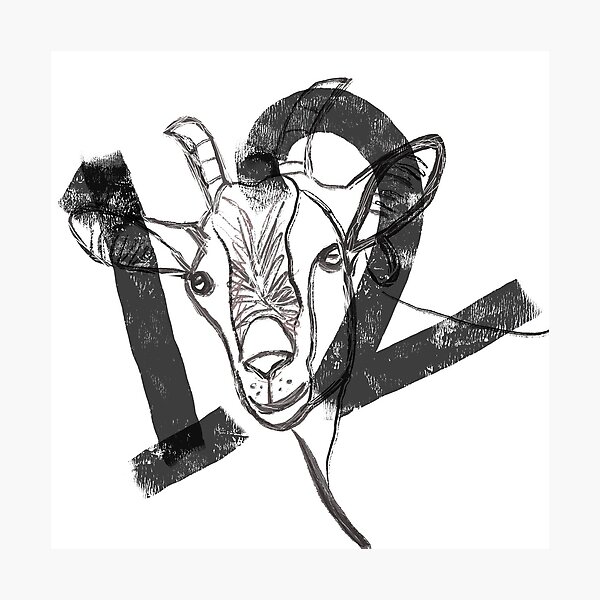 GOAT 12 T-Shirt Photographic Print