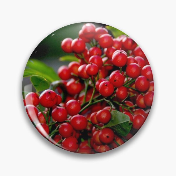 Item preview, Red Christmas Berries designed and sold by Monika's Shop.