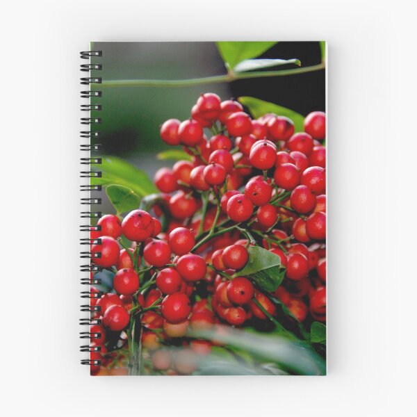 Item preview, Red Christmas Berries designed and sold by Monika's Shop.