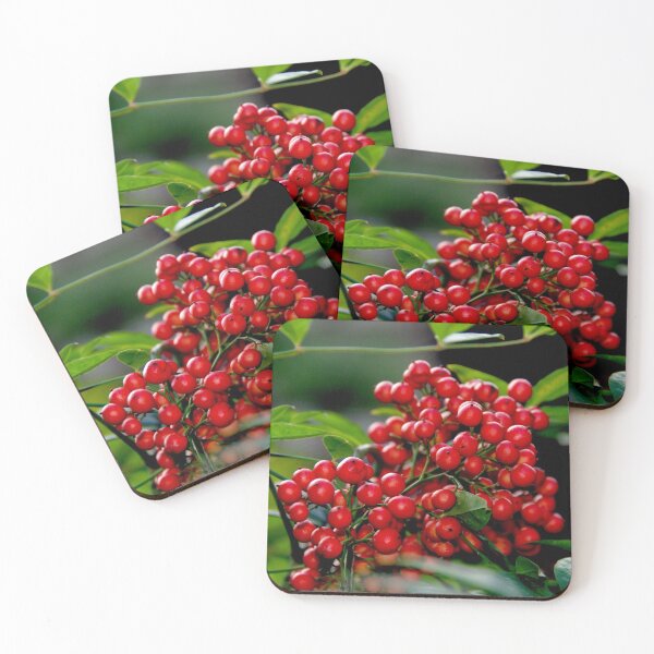 Item preview, Red Christmas Berries designed and sold by Monika's Shop.