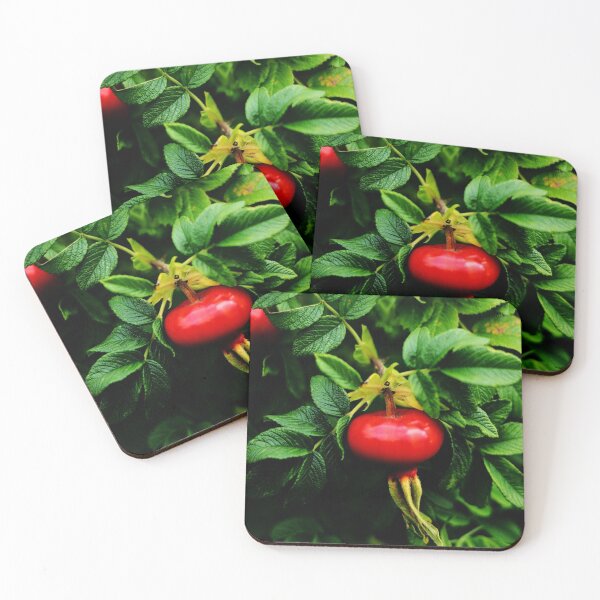 Item preview, Rosehip Berries on a bush with green leaves and blossom designed and sold by Michaelerch.