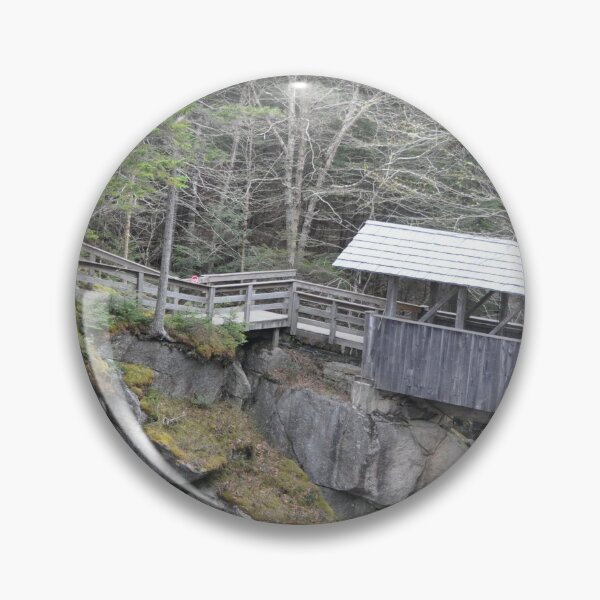 Artikelvorschau, Eine überdachte Brücke in den White Mountains entworfen und verkauft von Theophanes Avery.