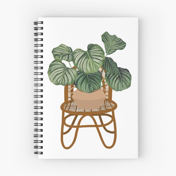 Item preview, Modern calathea orbifolia plant illustration designed and sold by Ana Moguš.