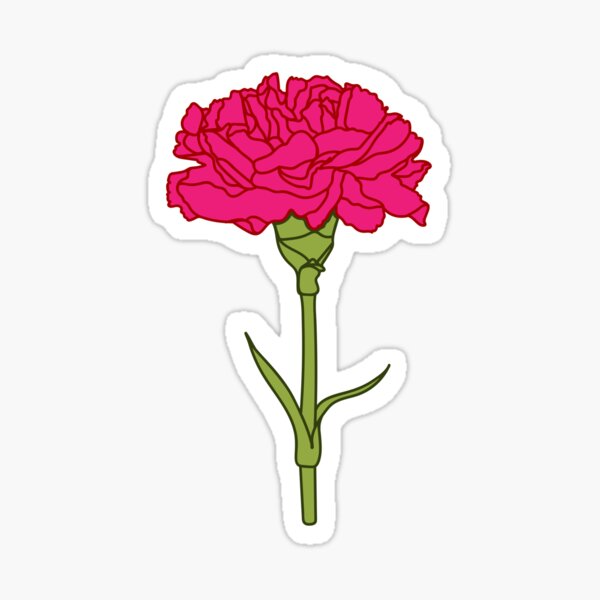 "Carnation" Sticker by StephCrafts Redbubble