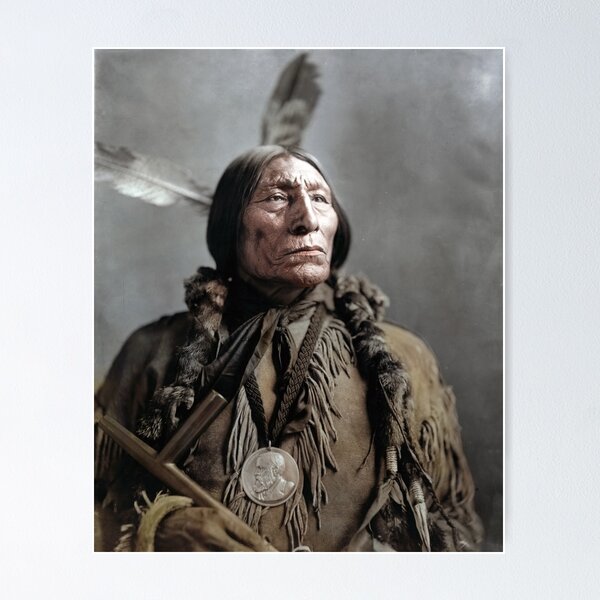 Item preview, Chief Wolf Robe designed and sold by billduncan.