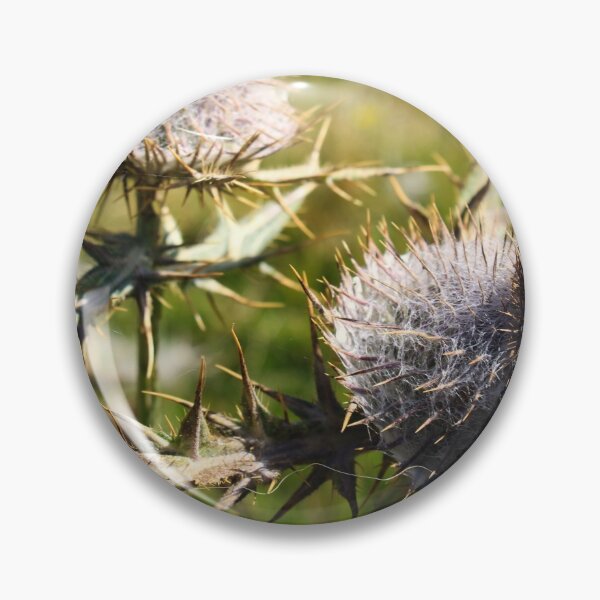 Item preview, Flower head Thistle with sharp prickles designed and sold by Mahirov Shop.