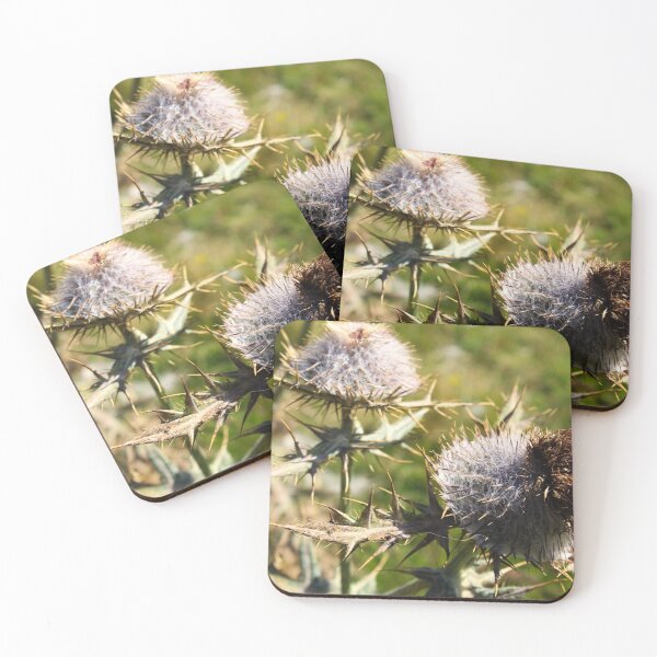 Item preview, Flower head Thistle with sharp prickles designed and sold by Mahirov Shop.