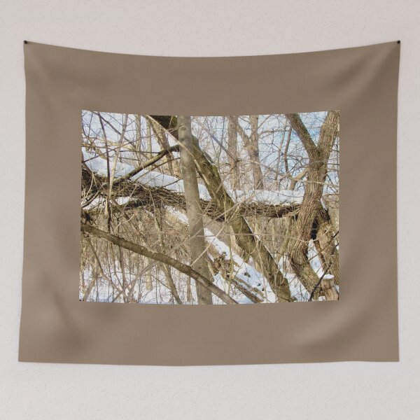 Item preview, Trees in the forest designed and sold by Shulie1.