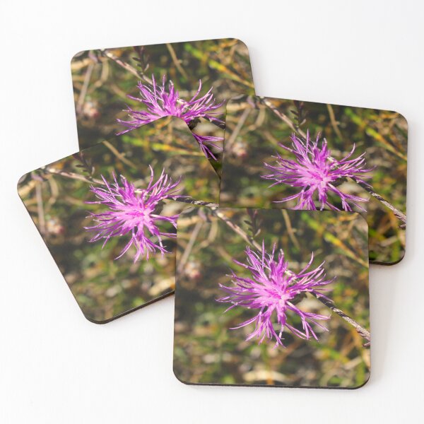 Item preview, Centaurea jacea designed and sold by Mahirov Shop.