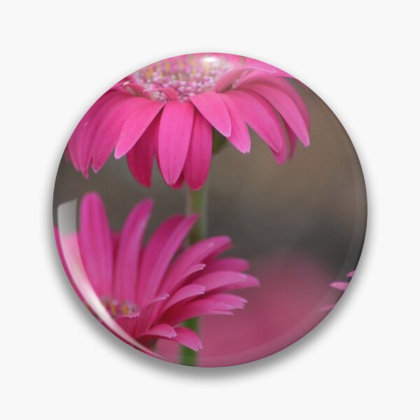 Item preview, Pink Gerberas designed and sold by TheaShutterbug.
