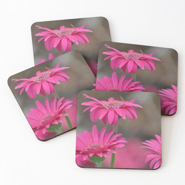 Item preview, Pink Gerberas designed and sold by TheaShutterbug.