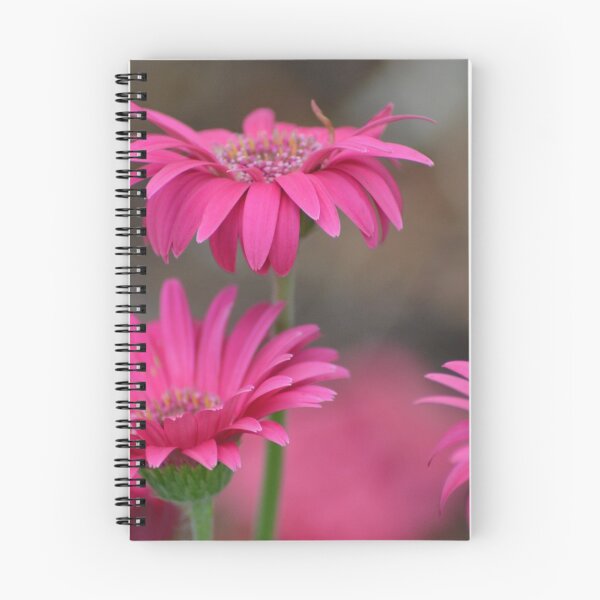 Item preview, Pink Gerberas designed and sold by TheaShutterbug.