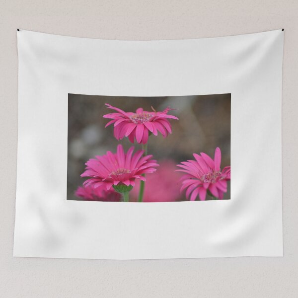 Item preview, Pink Gerberas designed and sold by TheaShutterbug.