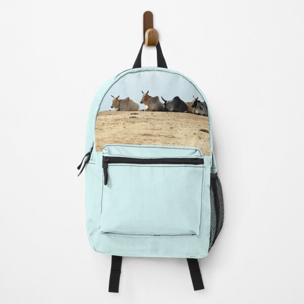Item preview, African Cows Resting on the Road, Ethiopia, Africa designed and sold by worldways.