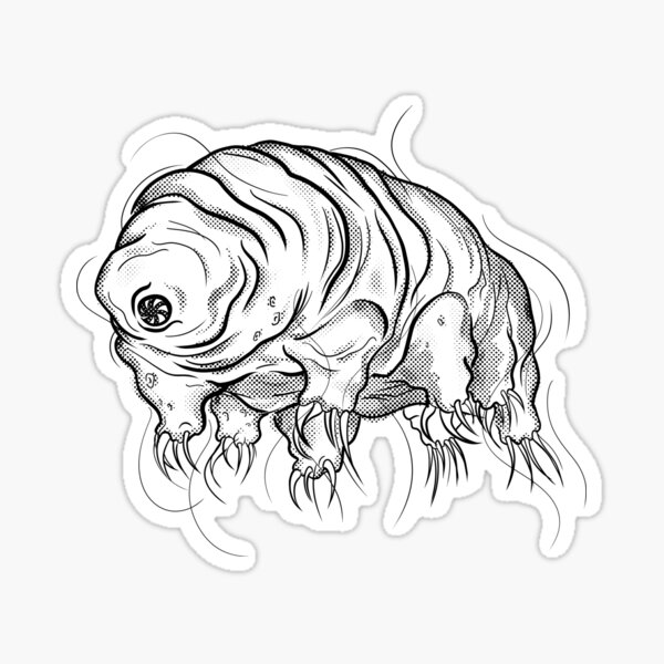 Water Bear Tardigrade Sticker